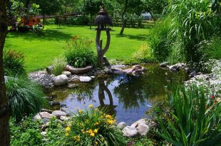 Искусственный водоем в саду — символ энергии